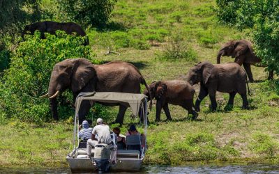 4-Day Victoria Falls Adventure With Chobe Safari