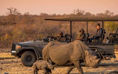 Night Game Drive with Bush Dinner