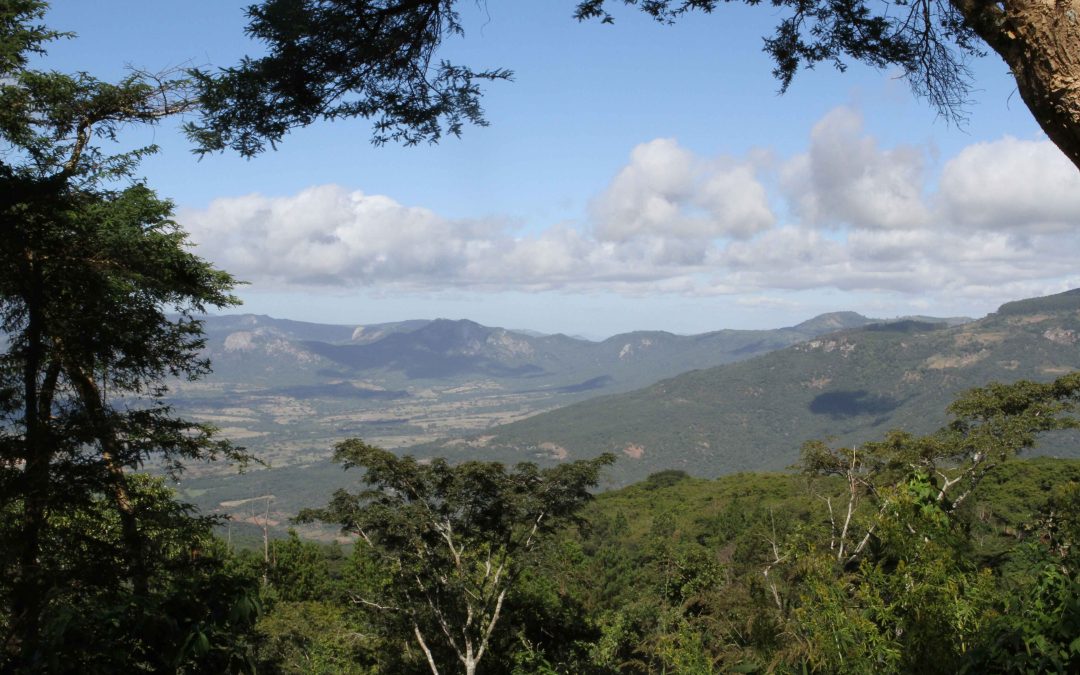 Vumba Couple’s Getaway Package